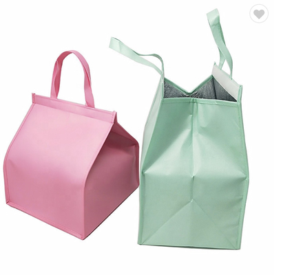 Le sac pliant isolé promotionnel pp de refroidisseur d'OEM durcissent un emballage plus frais de poche de sac