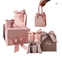 Petit transporteur de fantaisie d'emballage de sac de papier de cadeau de Rose Pink CMYK avec les poignées 230gsm de ruban